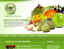 Tablet Screenshot of meridianfocus.com